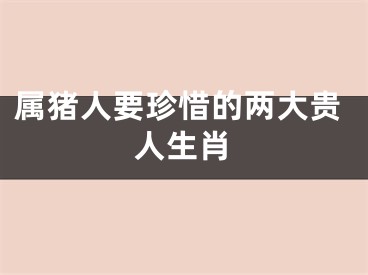 属猪人要珍惜的两大贵人生肖
