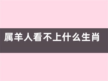 属羊人看不上什么生肖
