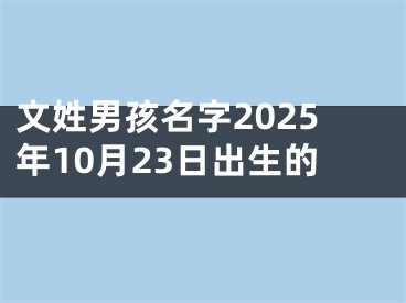 文姓男孩名字2025年10月23日出生的