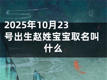 2025年10月23号出生赵姓宝宝取名叫什么