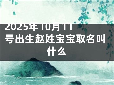 2025年10月11号出生赵姓宝宝取名叫什么