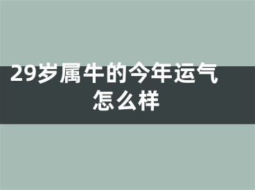 29岁属牛的今年运气怎么样