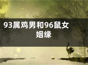 93属鸡男和96鼠女姻缘