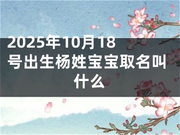 2025年10月18号出生杨姓宝宝取名叫什么