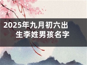 2025年九月初六出生李姓男孩名字