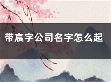 带宸字公司名字怎么起