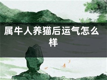 属牛人养猫后运气怎么样