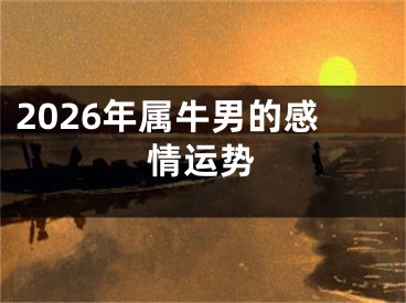 2026年属牛男的感情运势