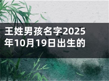 王姓男孩名字2025年10月19日出生的