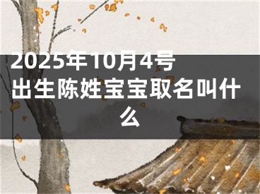 2025年10月4号出生陈姓宝宝取名叫什么