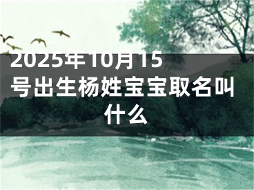 2025年10月15号出生杨姓宝宝取名叫什么