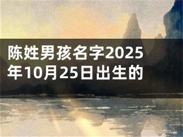陈姓男孩名字2025年10月25日出生的