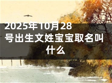 2025年10月28号出生文姓宝宝取名叫什么