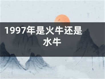 1997年是火牛还是水牛