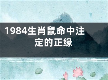 1984生肖鼠命中注定的正缘