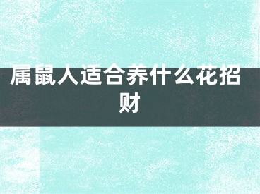 属鼠人适合养什么花招财