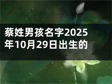 蔡姓男孩名字2025年10月29日出生的