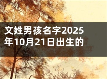 文姓男孩名字2025年10月21日出生的