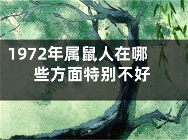 1972年属鼠人在哪些方面特别不好