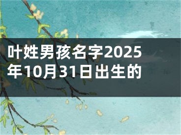 叶姓男孩名字2025年10月31日出生的
