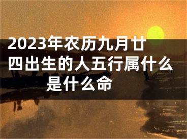 2023年农历九月廿四出生的人五行属什么 是什么命 