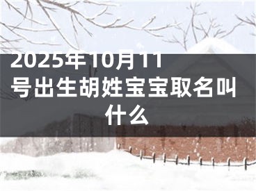 2025年10月11号出生胡姓宝宝取名叫什么
