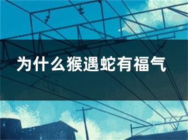 为什么猴遇蛇有福气