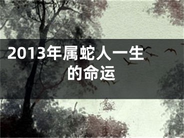 2013年属蛇人一生的命运