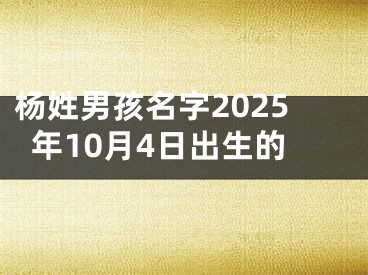 杨姓男孩名字2025年10月4日出生的