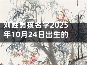 刘姓男孩名字2025年10月24日出生的