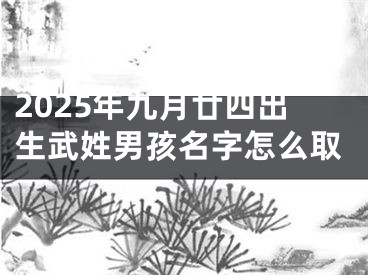 2025年九月廿四出生武姓男孩名字怎么取
