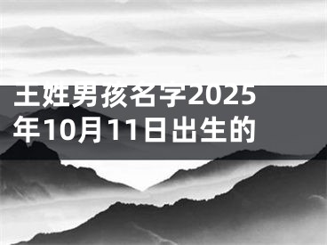 王姓男孩名字2025年10月11日出生的