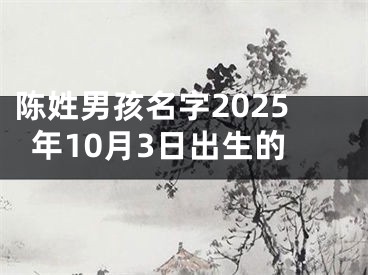 陈姓男孩名字2025年10月3日出生的