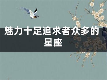 魅力十足追求者众多的星座