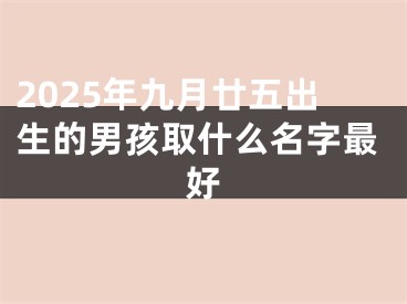 2025年九月廿五出生的男孩取什么名字最好