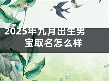 2025年九月出生男宝取名怎么样