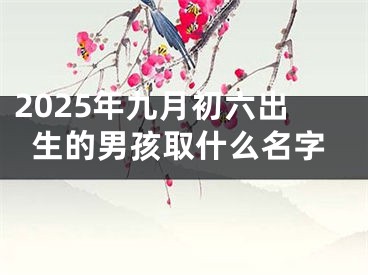 2025年九月初六出生的男孩取什么名字