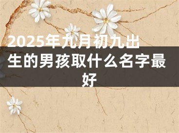 2025年九月初九出生的男孩取什么名字最好