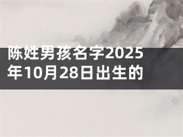 陈姓男孩名字2025年10月28日出生的