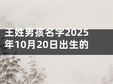 王姓男孩名字2025年10月20日出生的