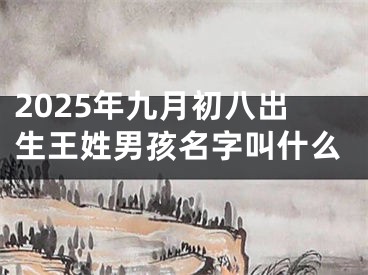 2025年九月初八出生王姓男孩名字叫什么