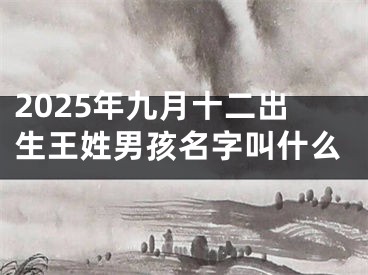 2025年九月十二出生王姓男孩名字叫什么