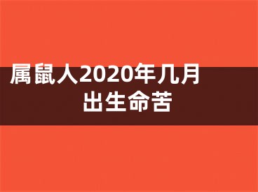 属鼠人2020年几月出生命苦