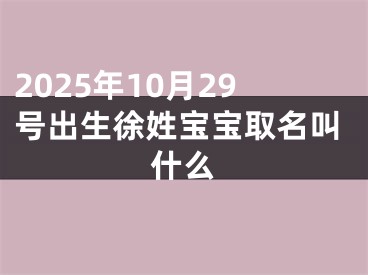2025年10月29号出生徐姓宝宝取名叫什么