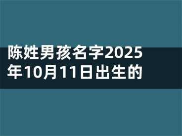 陈姓男孩名字2025年10月11日出生的