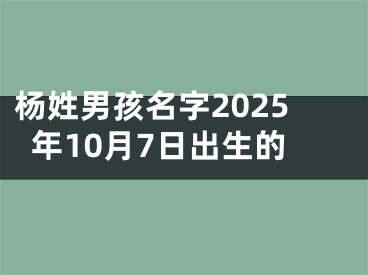 杨姓男孩名字2025年10月7日出生的