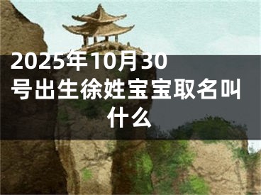 2025年10月30号出生徐姓宝宝取名叫什么