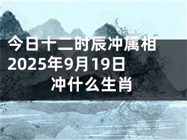 今日十二时辰冲属相 2025年9月19日冲什么生肖