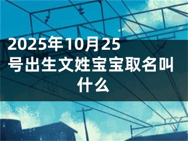 2025年10月25号出生文姓宝宝取名叫什么