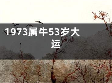 1973属牛53岁大运